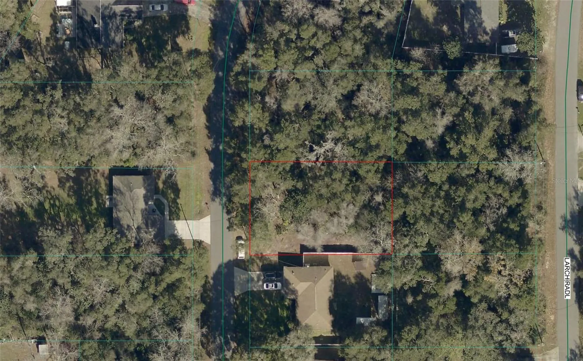 Tbd Larch Course Ocala FL 34480