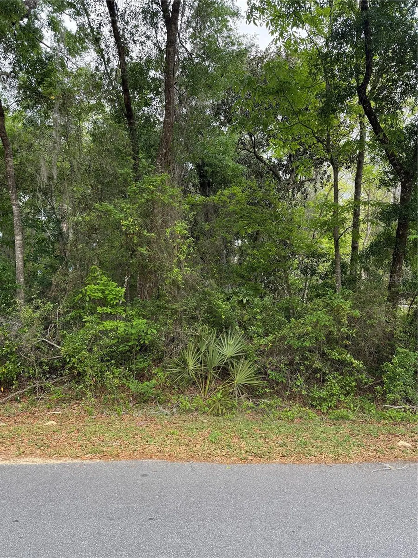 Tbd Larch Course Ocala FL 34480
