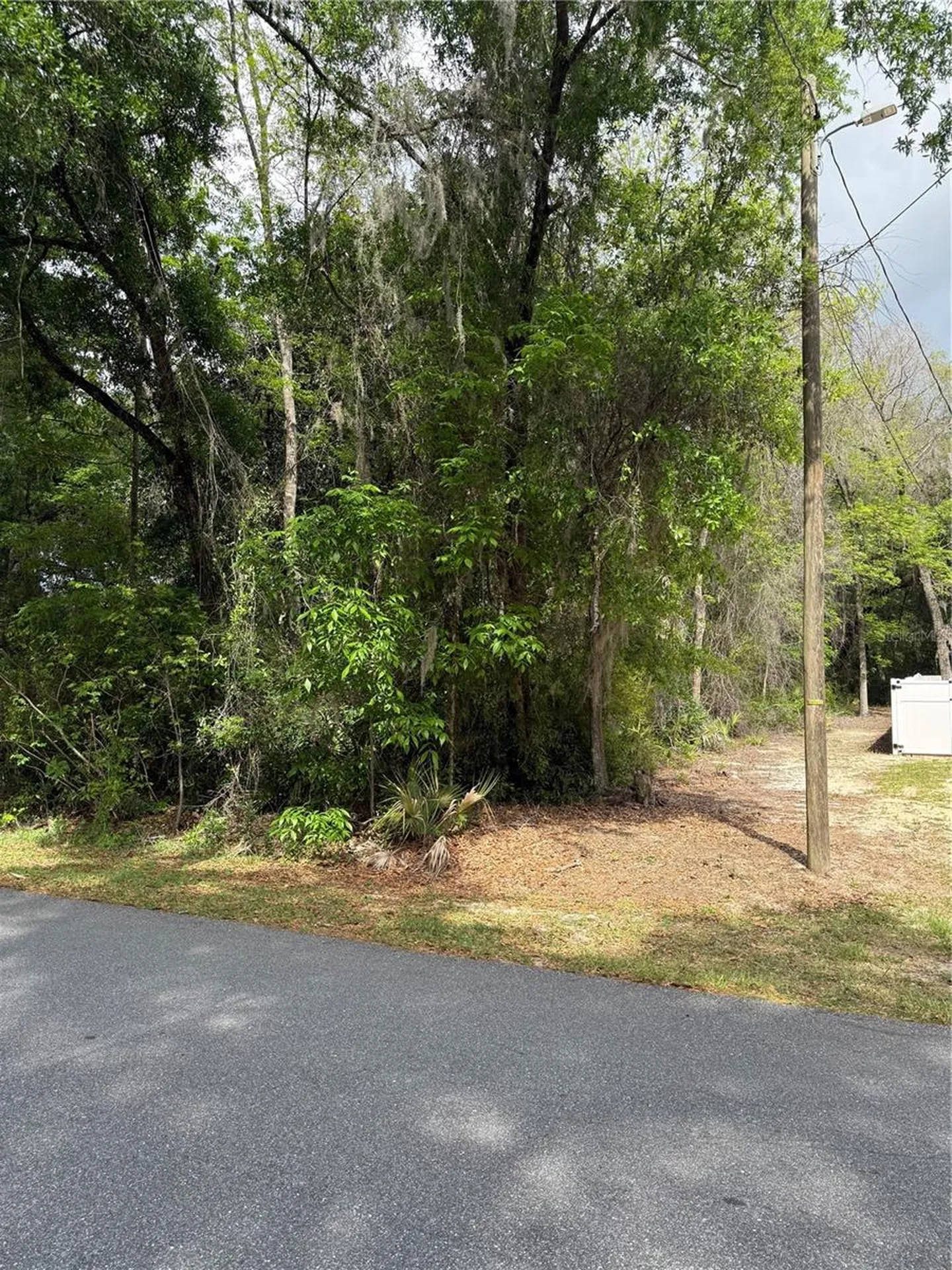 Tbd Larch Course Ocala FL 34480