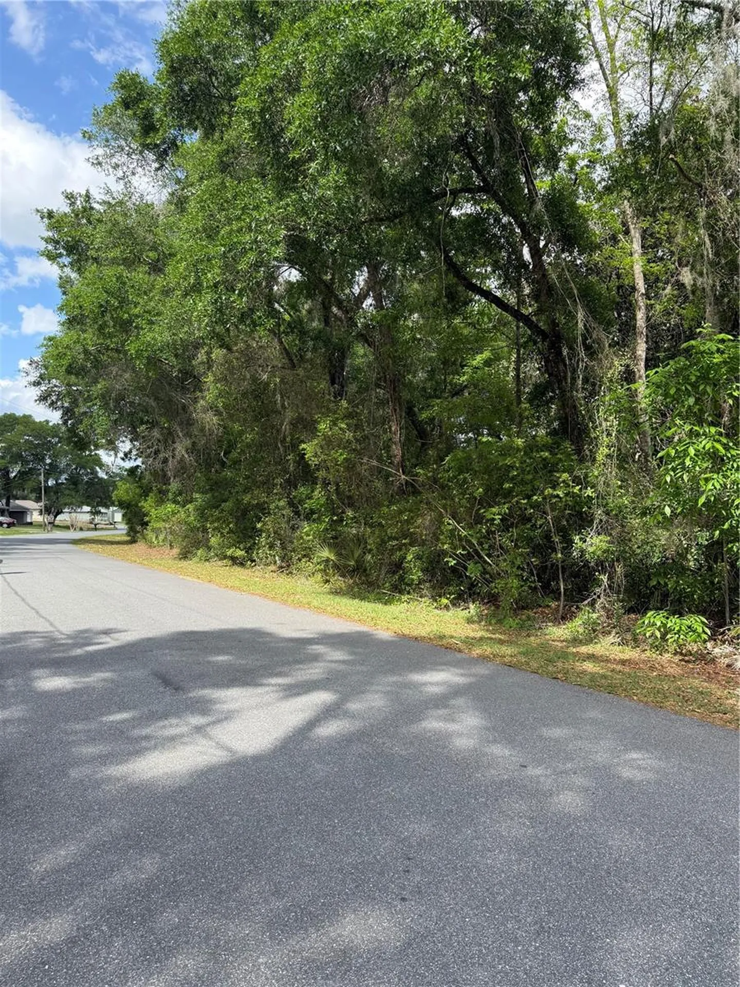 Tbd Larch Course Ocala FL 34480