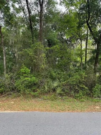 Tbd Larch Course Ocala FL 34480