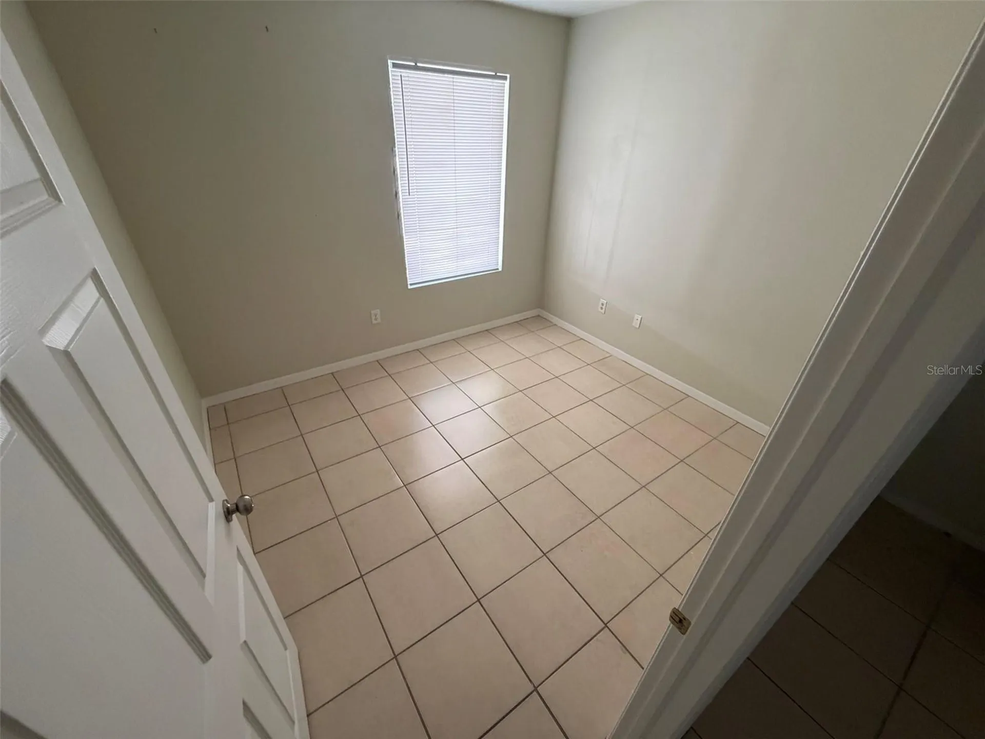 26614 Magnolia Boulevard Lutz FL 33559