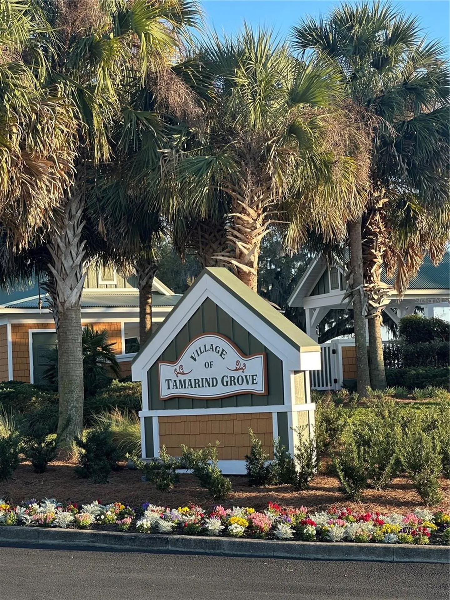 2427 Tamarind Grove Run The Villages FL 32162