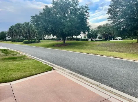 2427 Tamarind Grove Run The Villages FL 32162