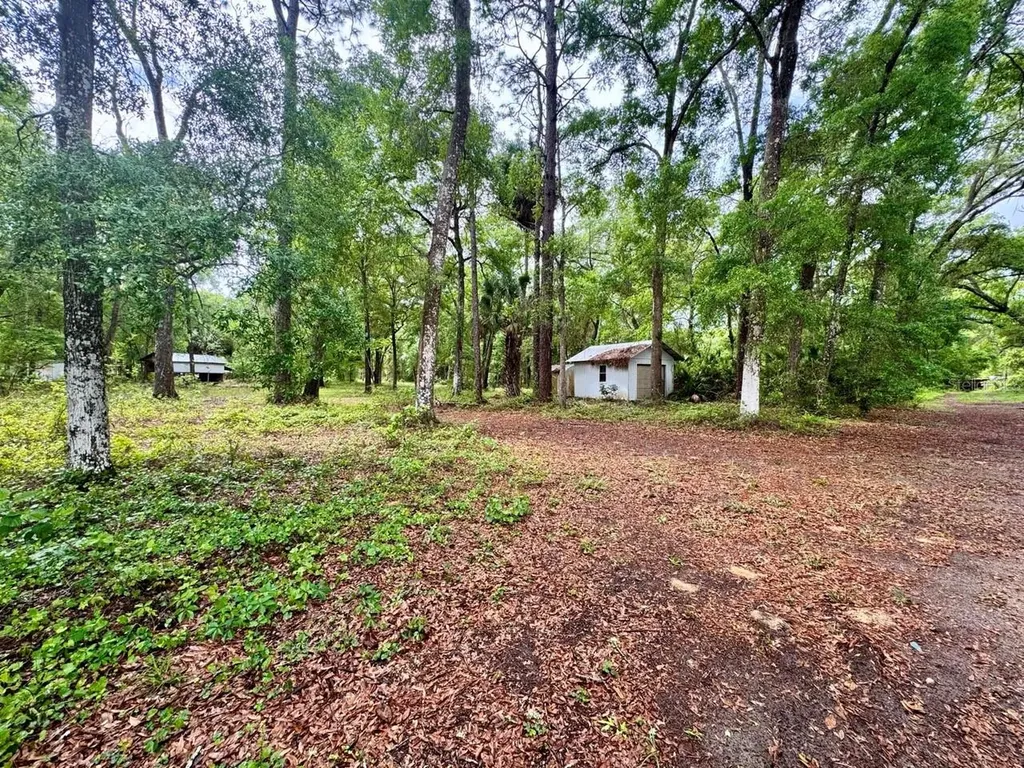 23714 NE 119th Place Salt Springs FL 32134