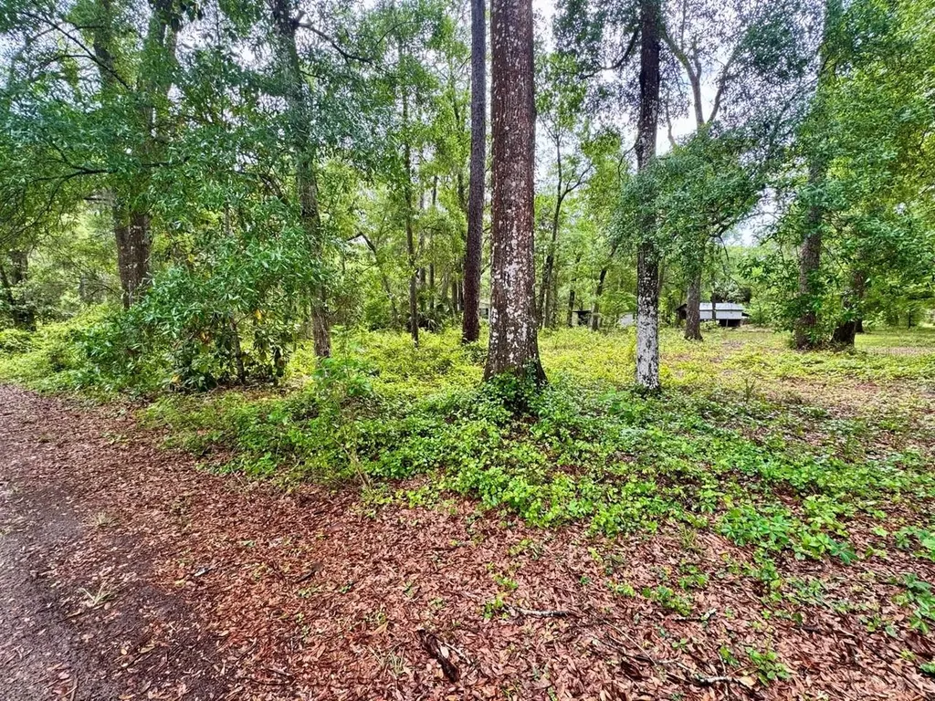 23714 NE 119th Place Salt Springs FL 32134