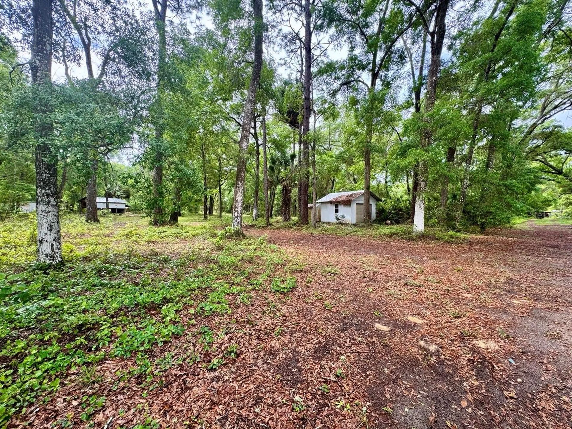 23714 NE 119th Place Salt Springs FL 32134