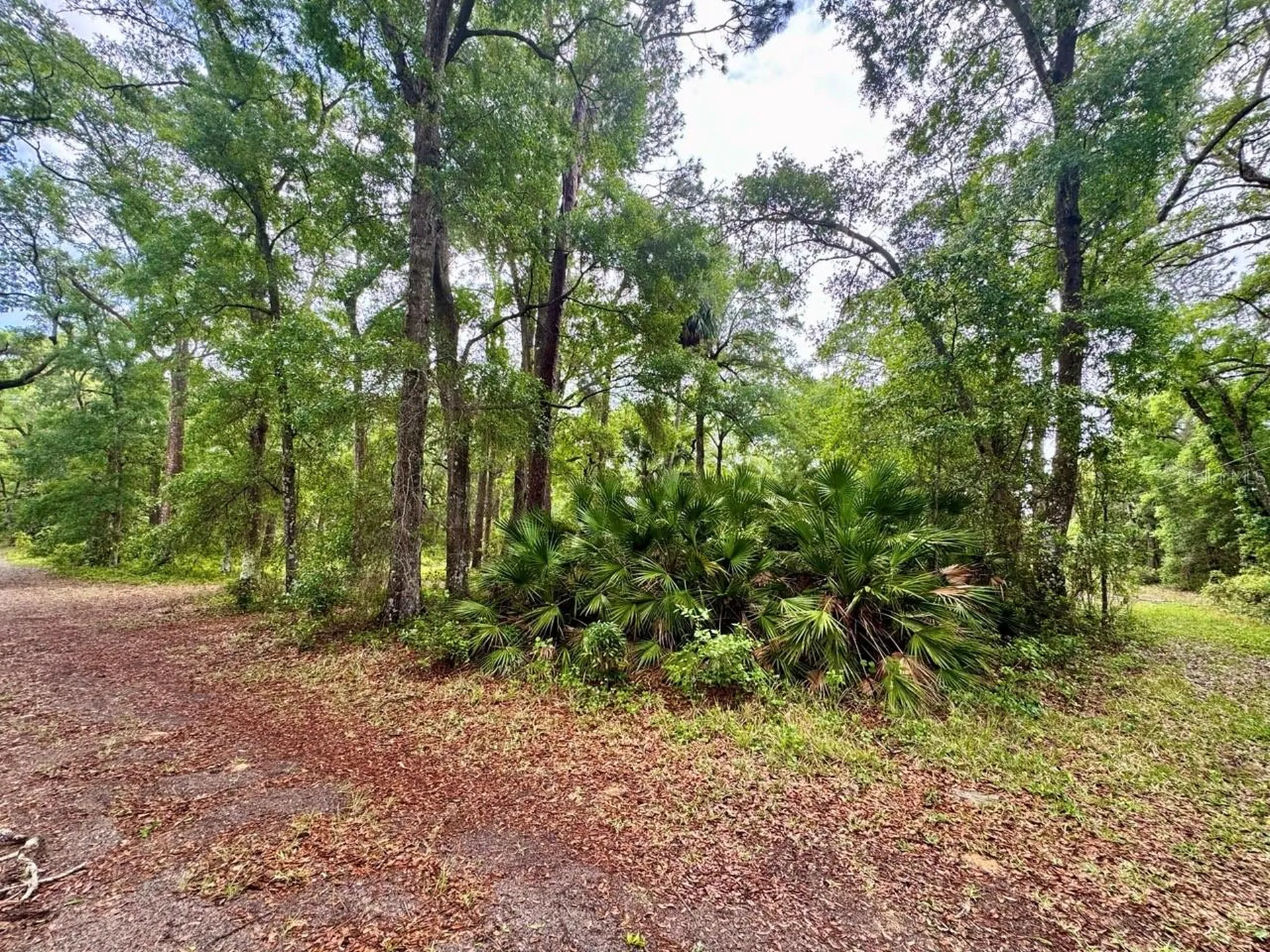 23714 NE 119th Place Salt Springs FL 32134