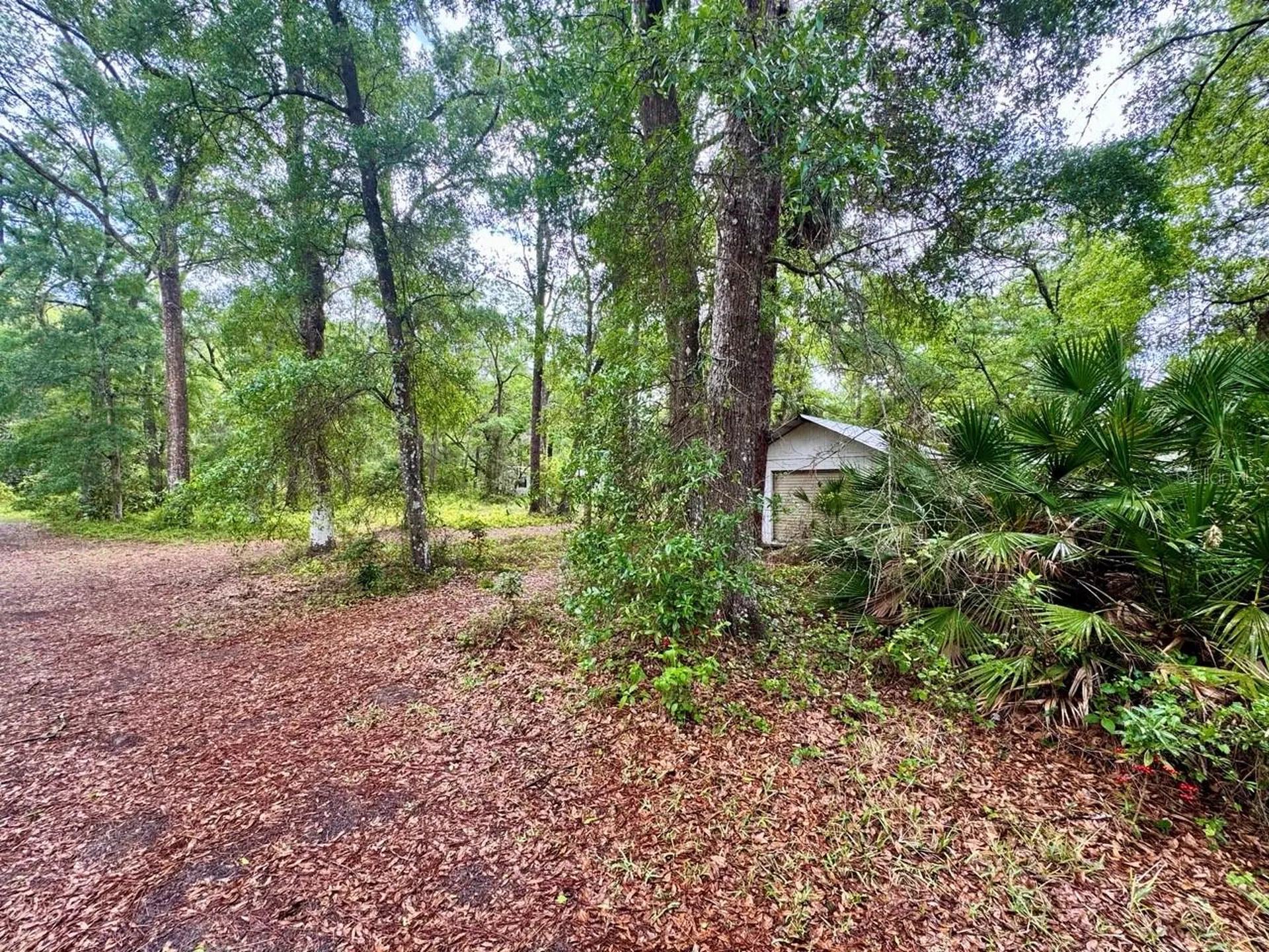 23714 NE 119th Place Salt Springs FL 32134