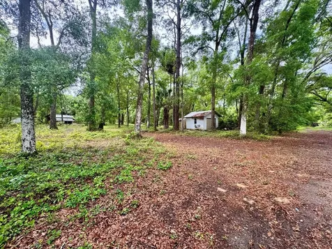23714 NE 119th Place Salt Springs FL 32134