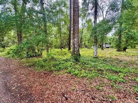23714 NE 119th Place Salt Springs FL 32134