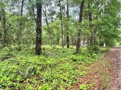 23714 NE 119th Place Salt Springs FL 32134