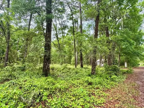 23714 NE 119th Place Salt Springs FL 32134