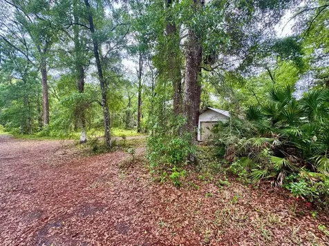 23714 NE 119th Place Salt Springs FL 32134