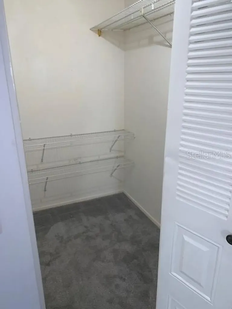 3678 Dehaven Drive Palm Harbor FL 34684