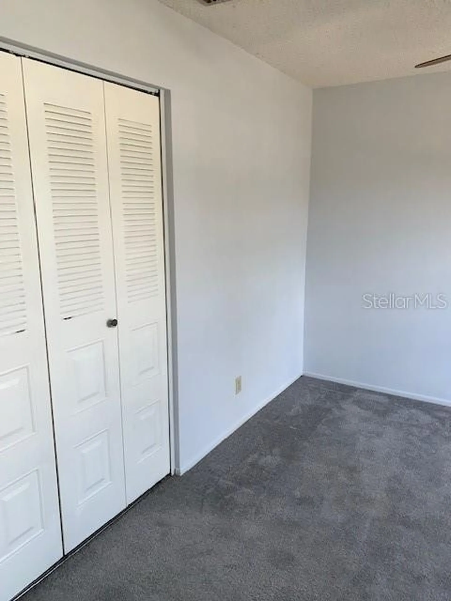 3678 Dehaven Drive Palm Harbor FL 34684