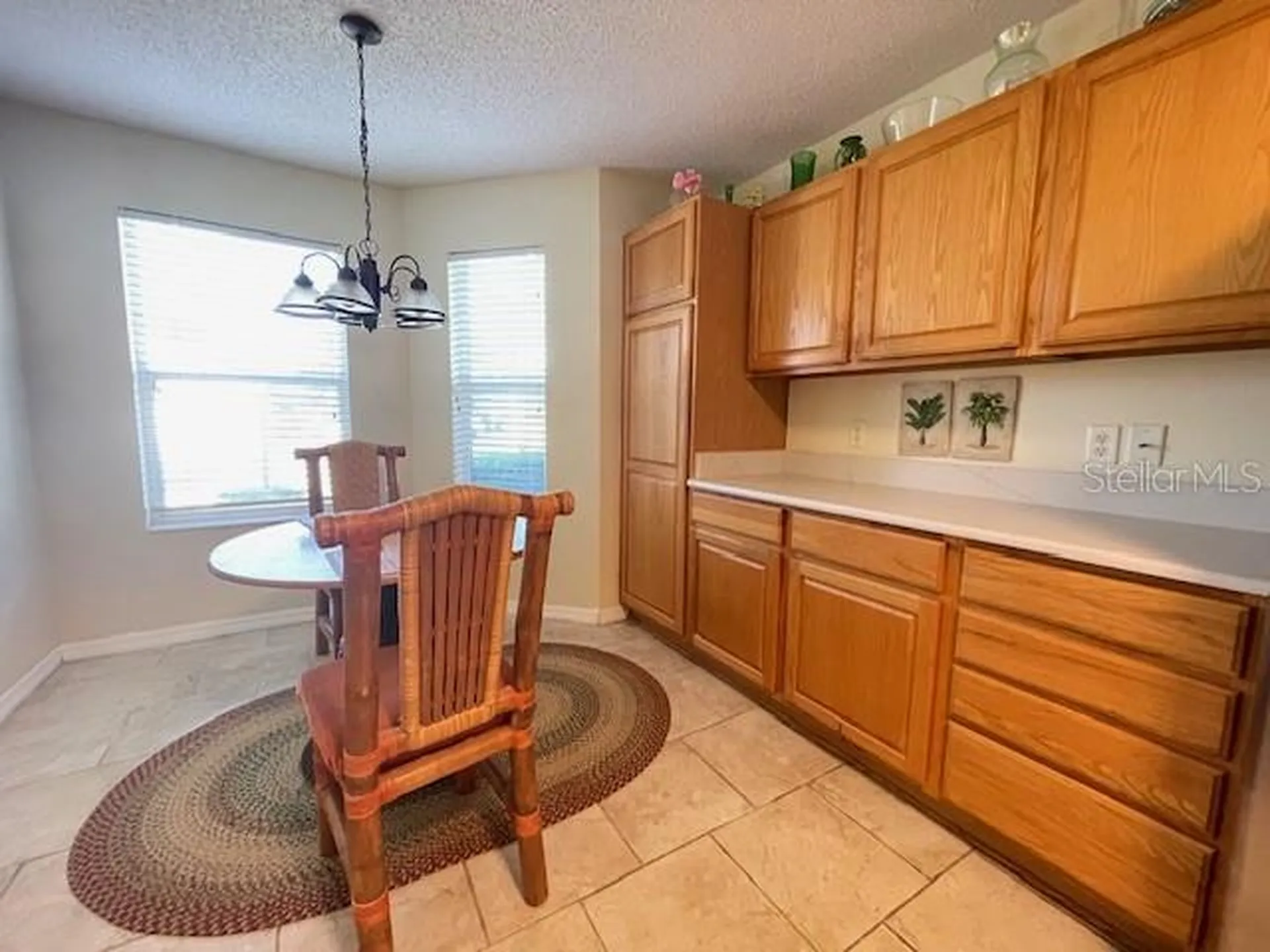 1620 Lynchburg Loop The Villages FL 32162