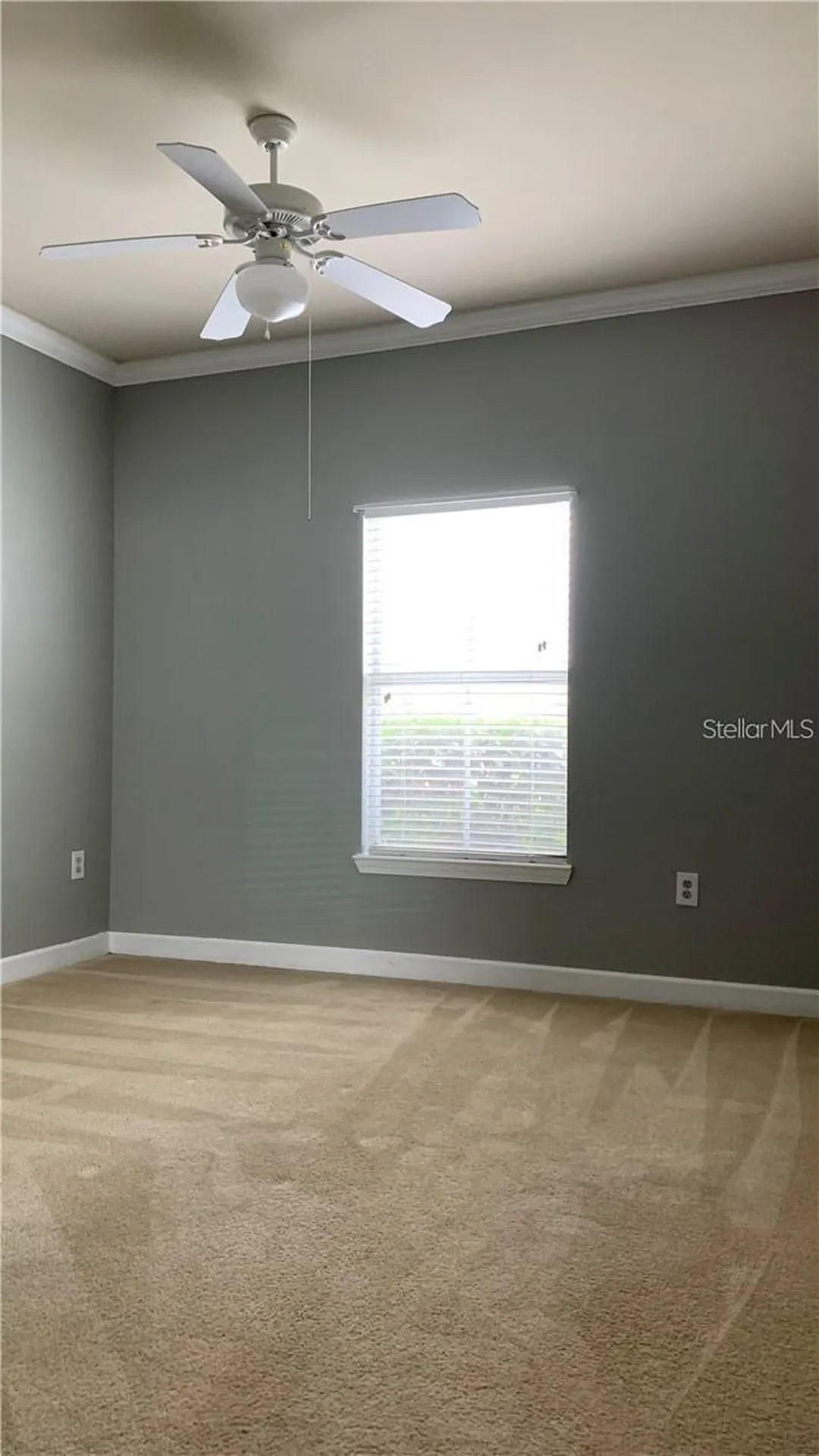 18302 Bridle Club Drive Tampa FL 33647