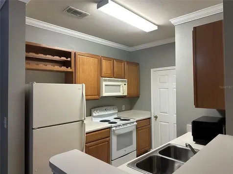18302 Bridle Club Drive Tampa FL 33647