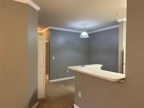 18302 Bridle Club Drive Tampa FL 33647