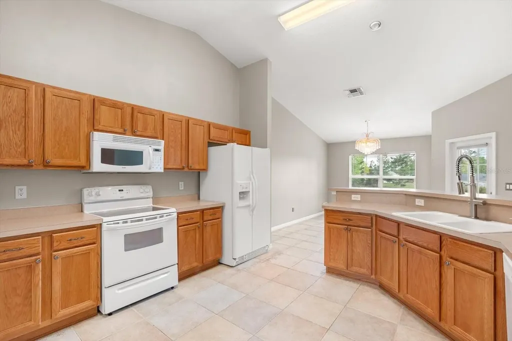 4910 SW 109th Loop Ocala FL 34476