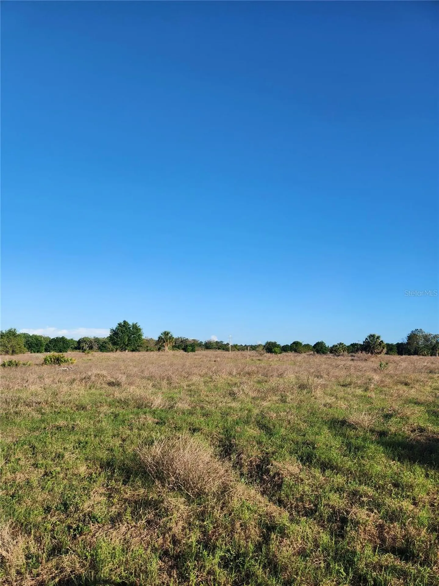 415 Lake Josephine Drive Sebring FL 33875
