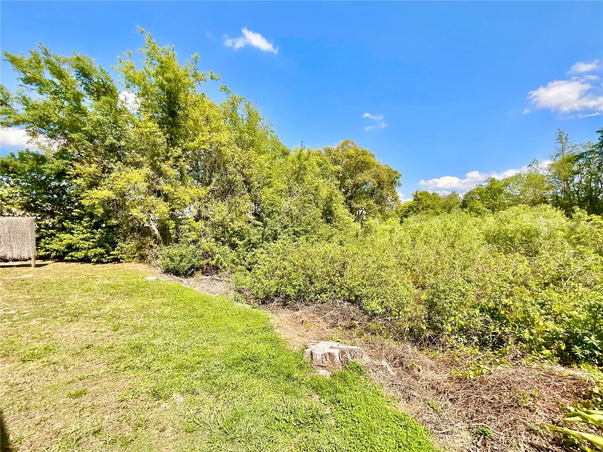 1828 Osprey Lane Lutz FL 33549