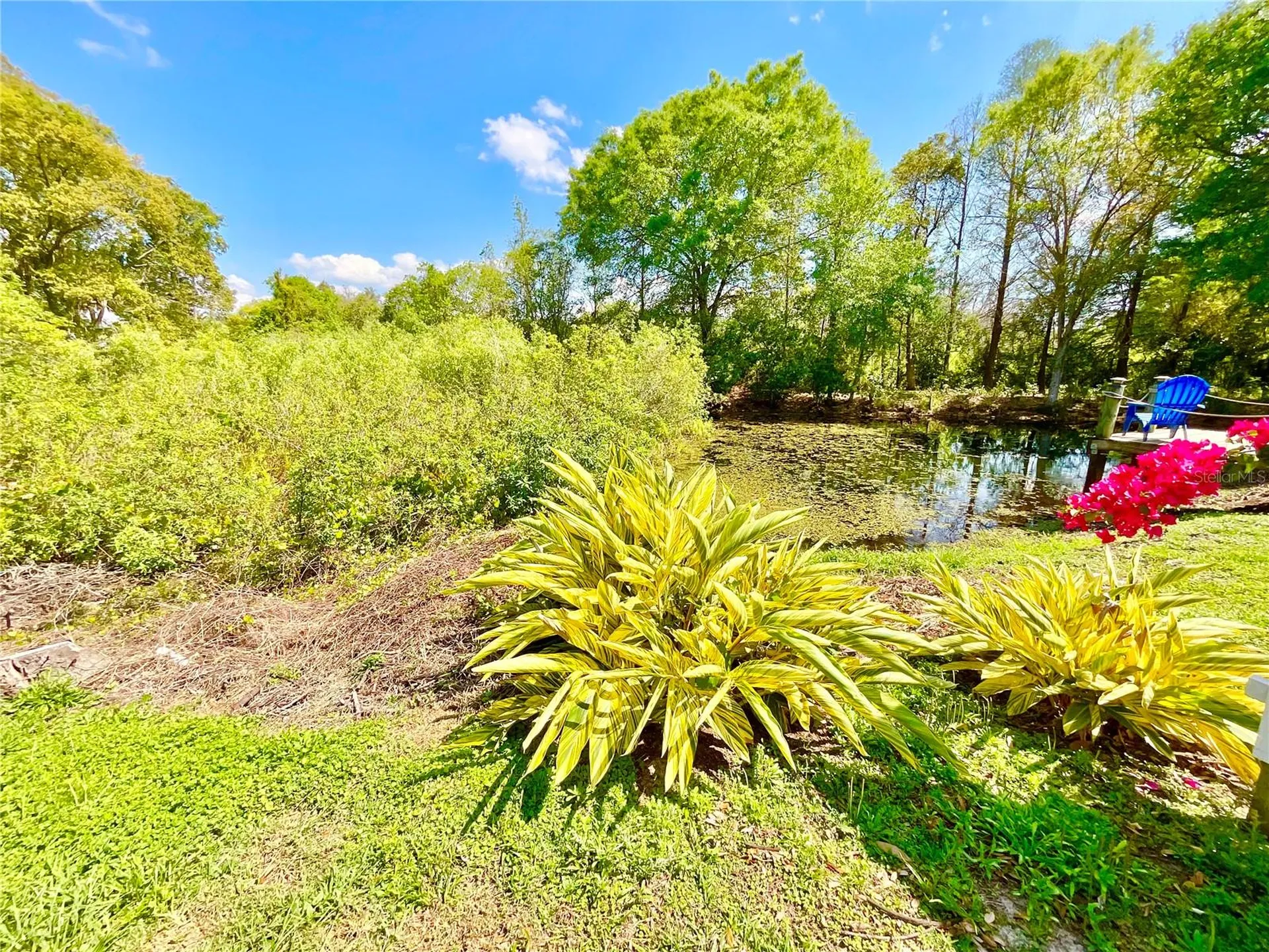 1828 Osprey Lane Lutz FL 33549