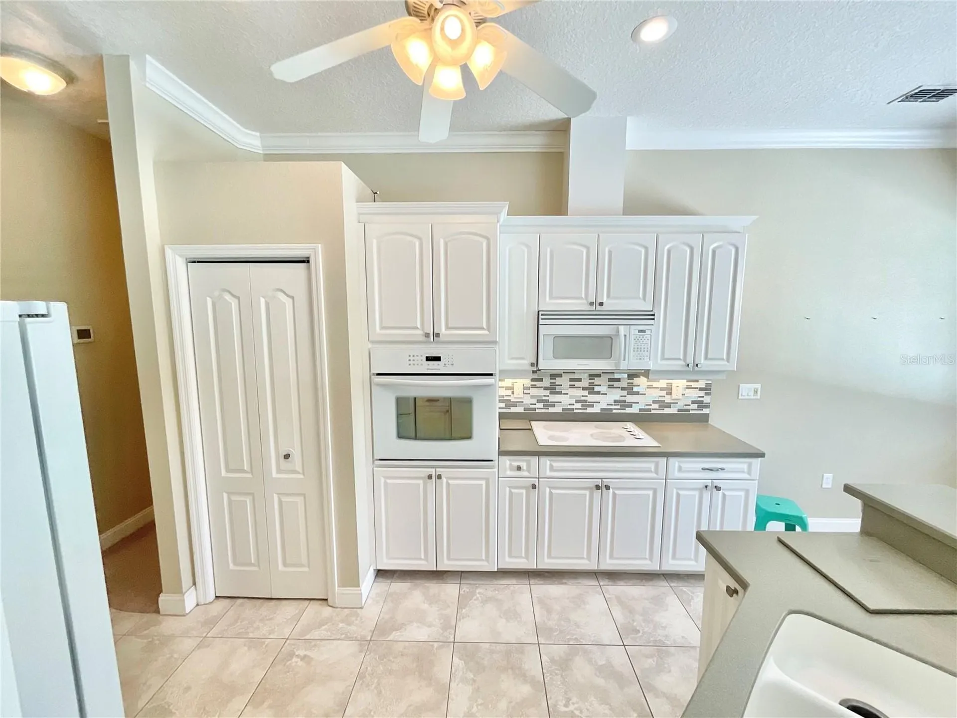 1828 Osprey Lane Lutz FL 33549