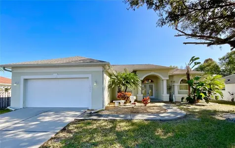 1828 Osprey Lane Lutz FL 33549
