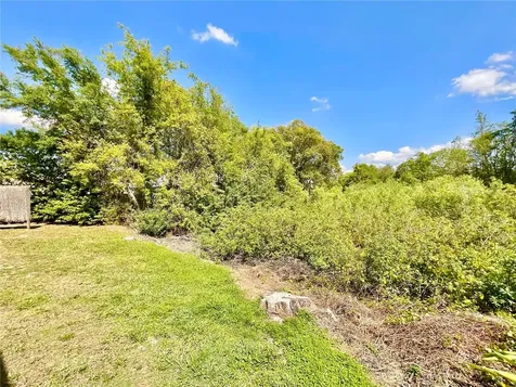 1828 Osprey Lane Lutz FL 33549