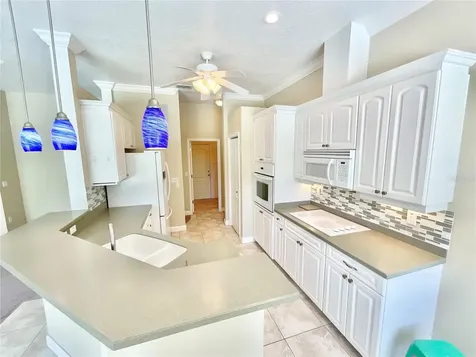 1828 Osprey Lane Lutz FL 33549