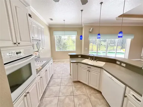1828 Osprey Lane Lutz FL 33549