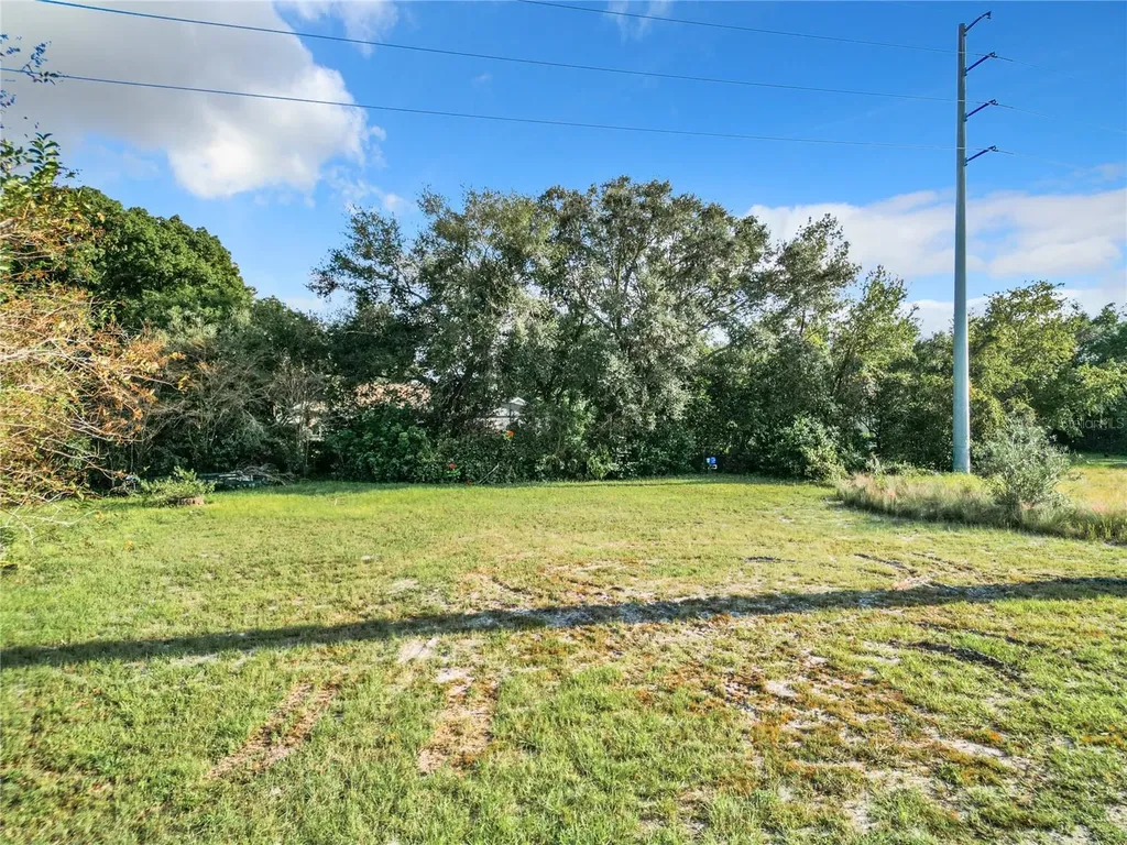 8707 Fernwicke Court Orlando FL 32819