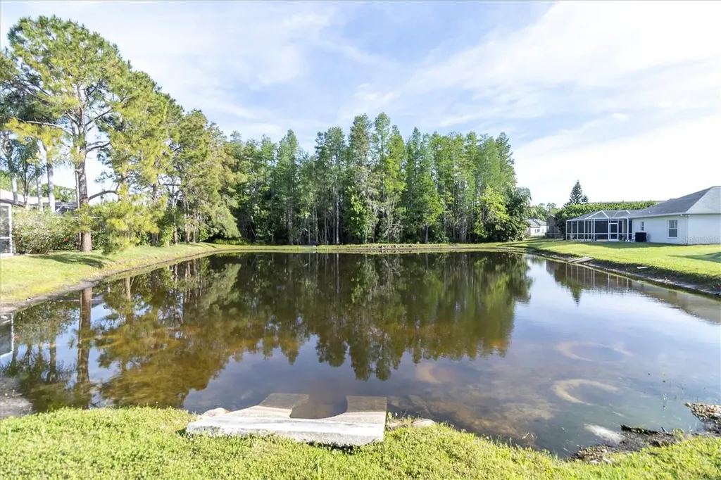 1050 Maravista Drive Trinity FL 34655