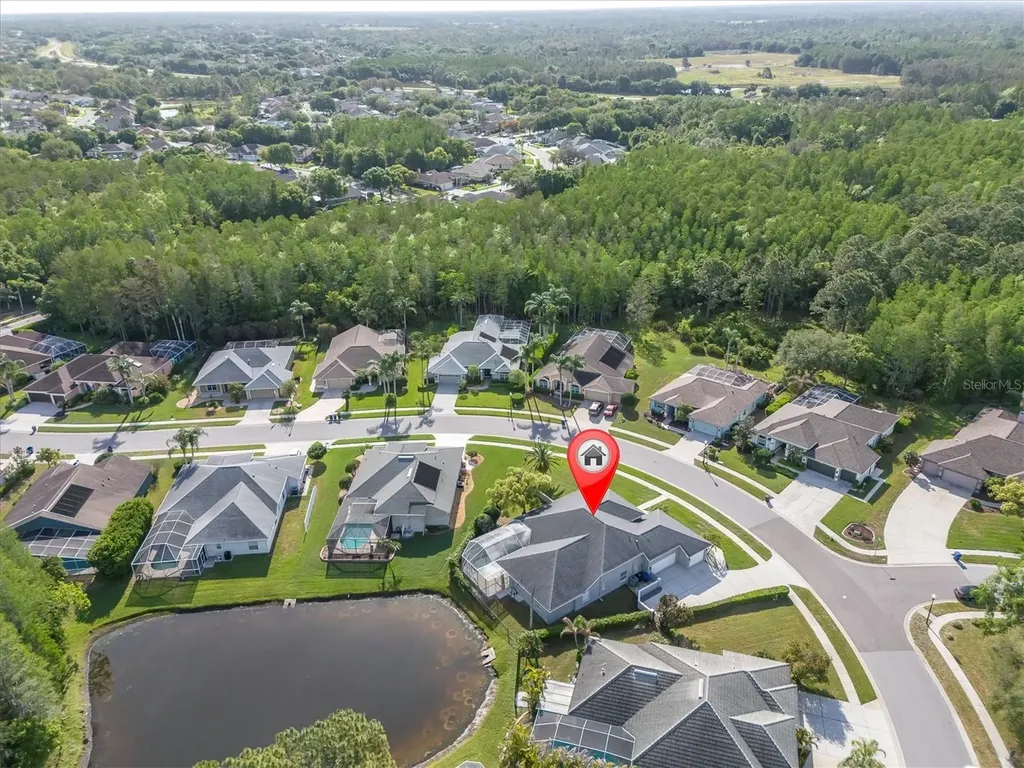 1050 Maravista Drive Trinity FL 34655