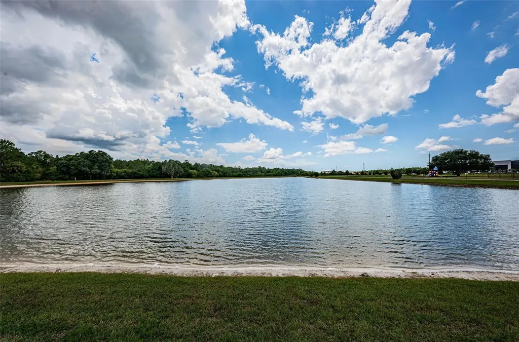 1050 Maravista Drive Trinity FL 34655