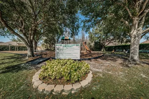 1050 Maravista Drive Trinity FL 34655