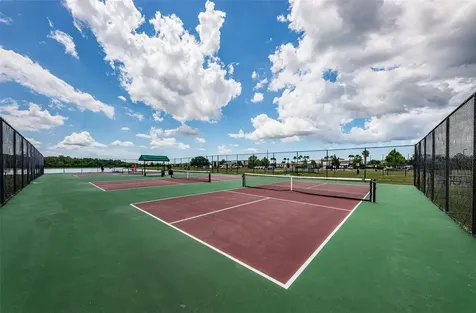 1050 Maravista Drive Trinity FL 34655