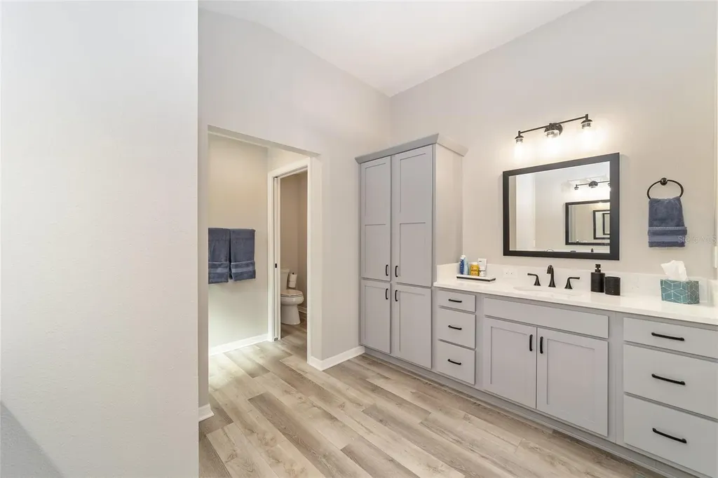 6849 Mickylee Run The Villages FL 34762