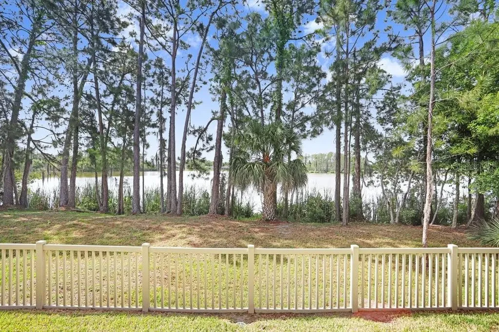 11404 Crowned Sparrow Lane Tampa FL 33626