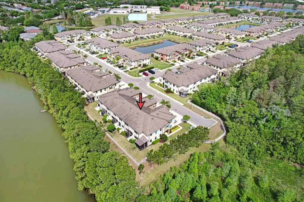 11404 Crowned Sparrow Lane Tampa FL 33626