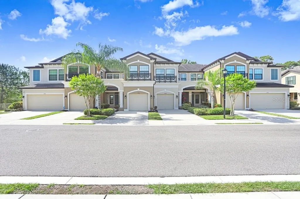 11404 Crowned Sparrow Lane Tampa FL 33626