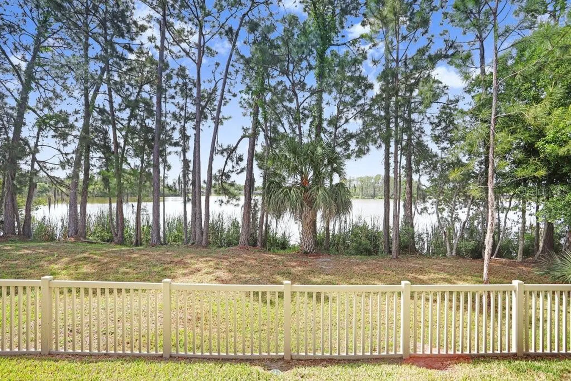 11404 Crowned Sparrow Lane Tampa FL 33626