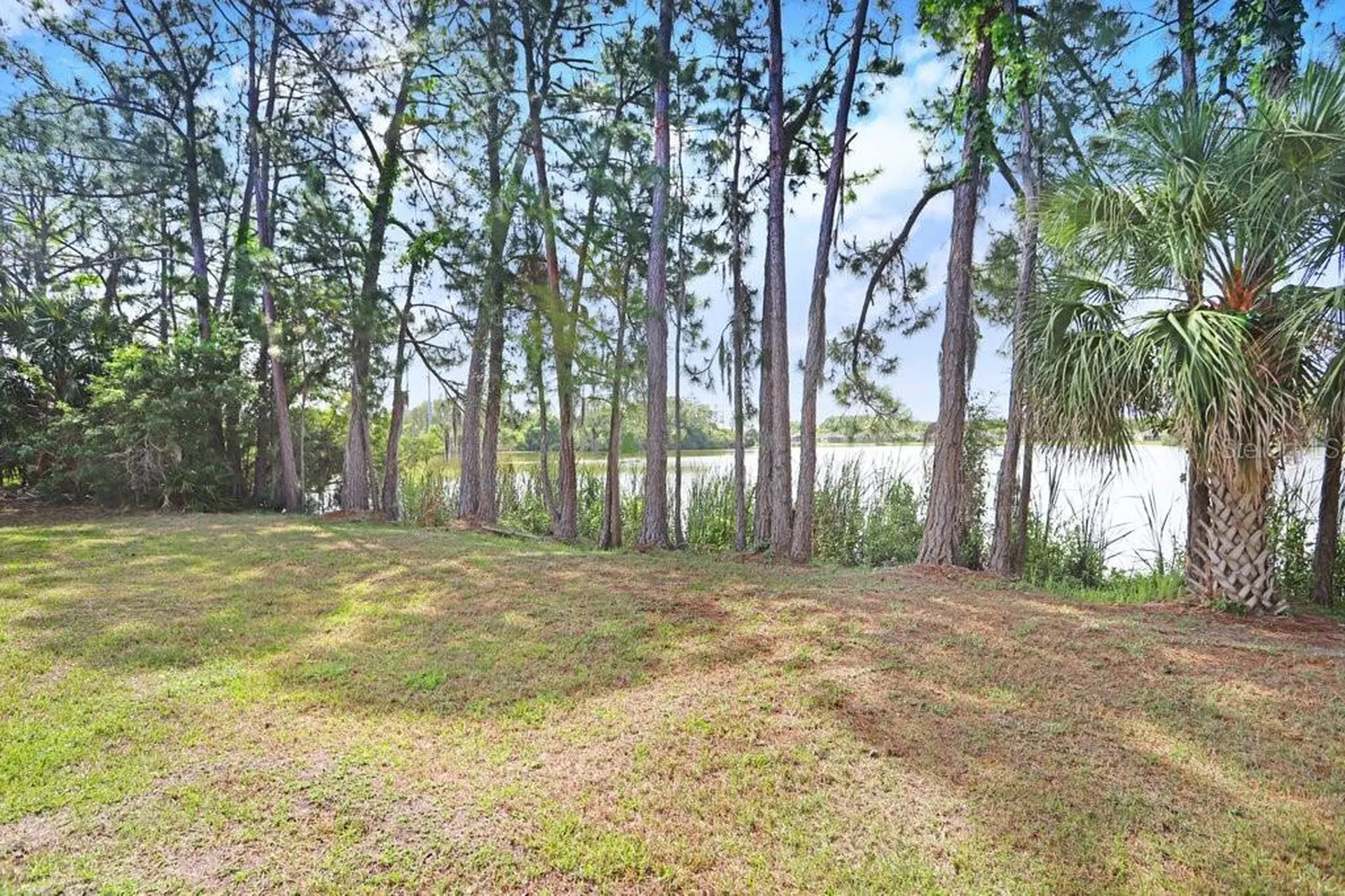 11404 Crowned Sparrow Lane Tampa FL 33626