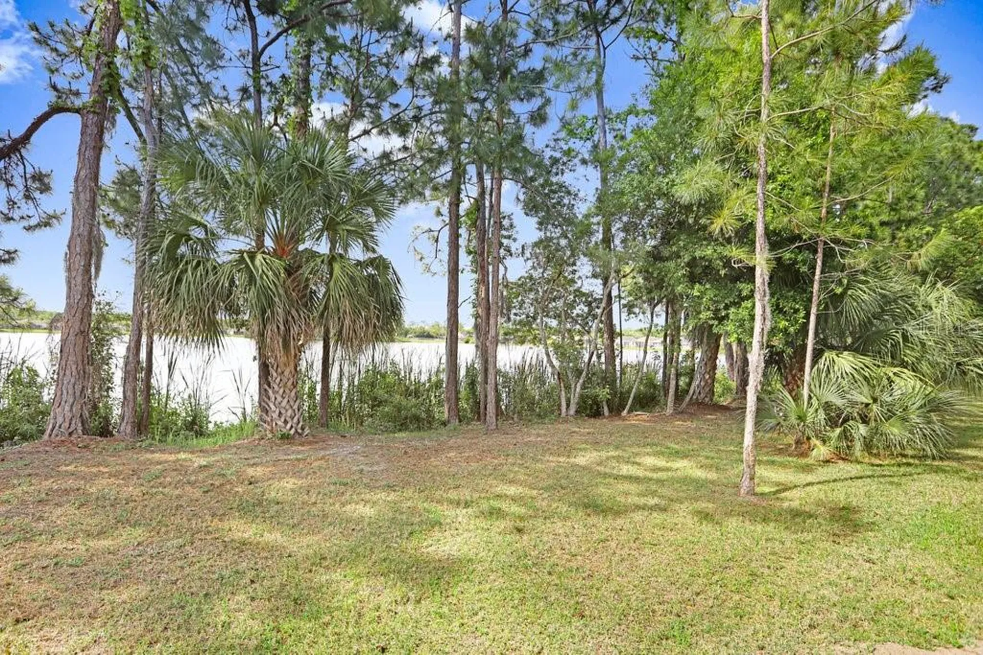 11404 Crowned Sparrow Lane Tampa FL 33626