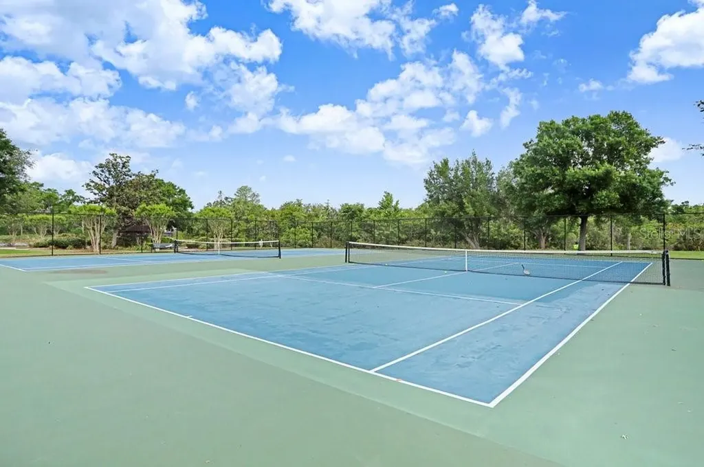 13602 S Village Drive Tampa FL 33618
