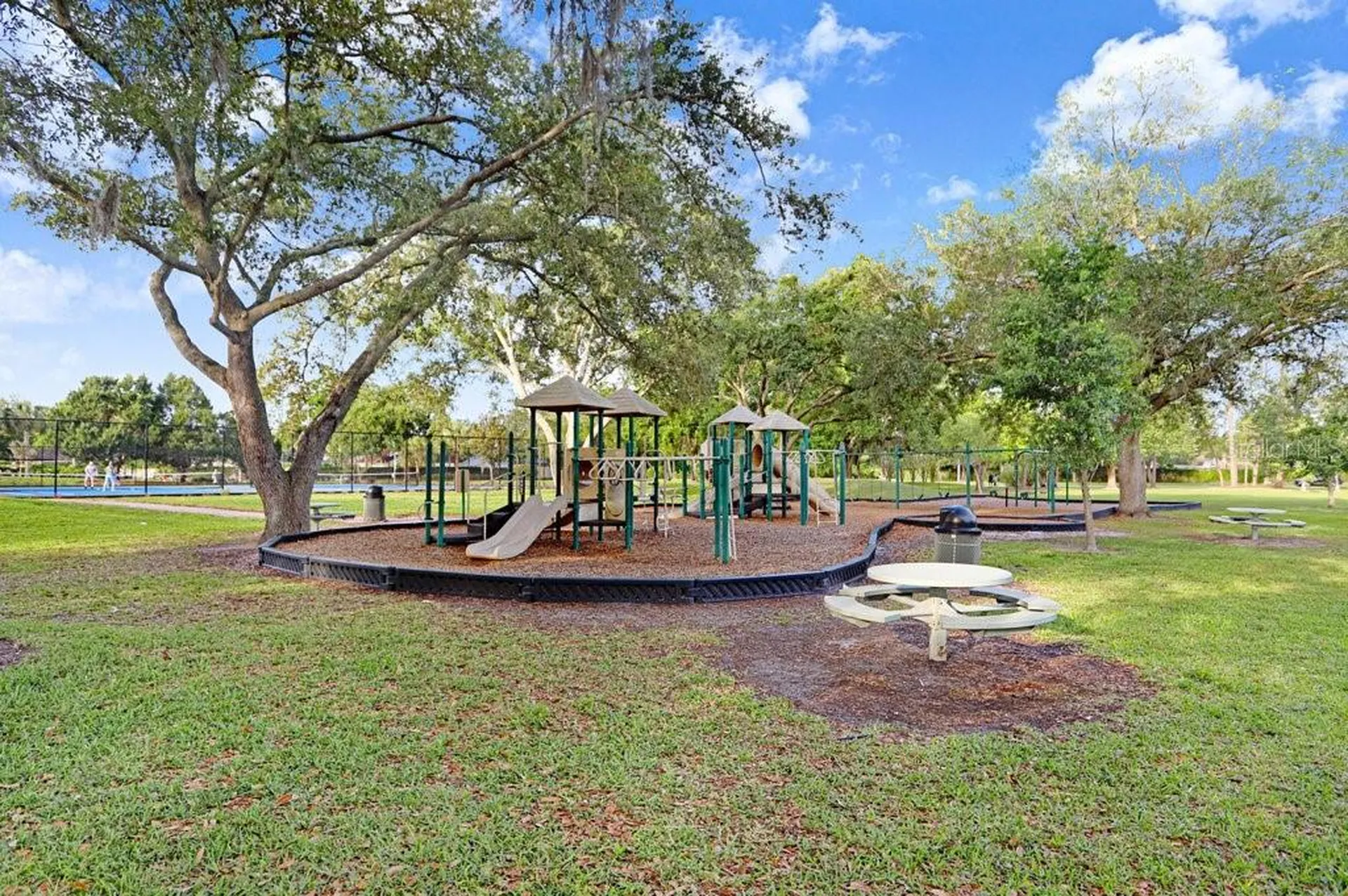 13602 S Village Drive Tampa FL 33618