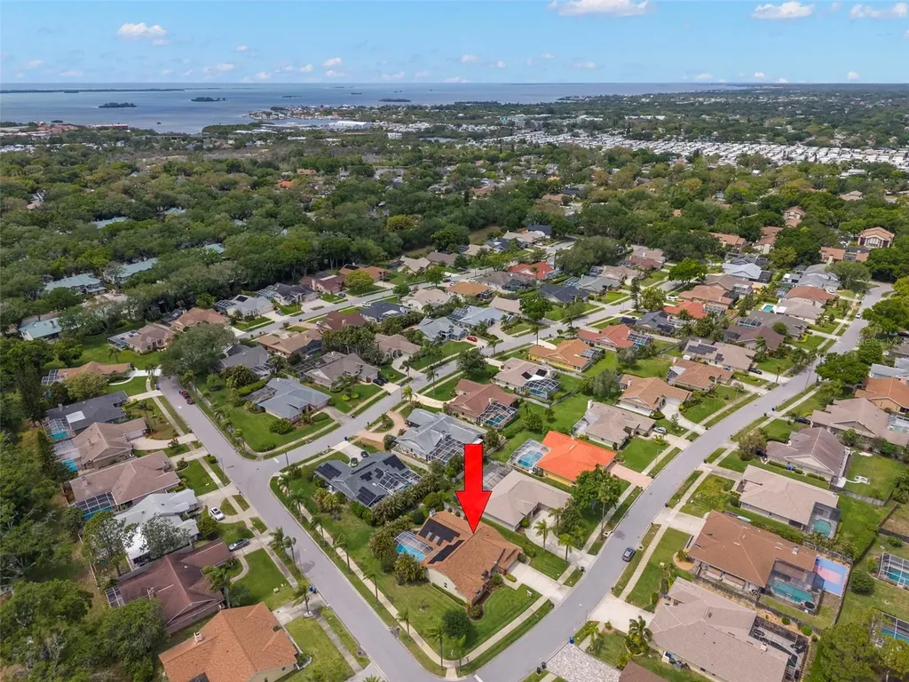 2686 Scobee Drive Palm Harbor FL 34683