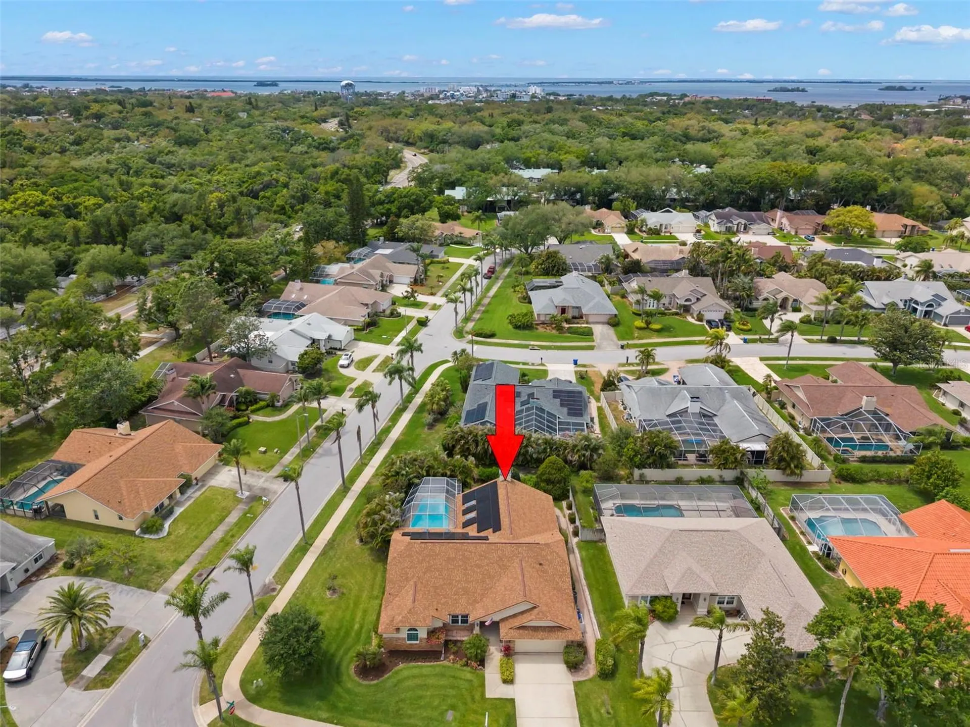 2686 Scobee Drive Palm Harbor FL 34683